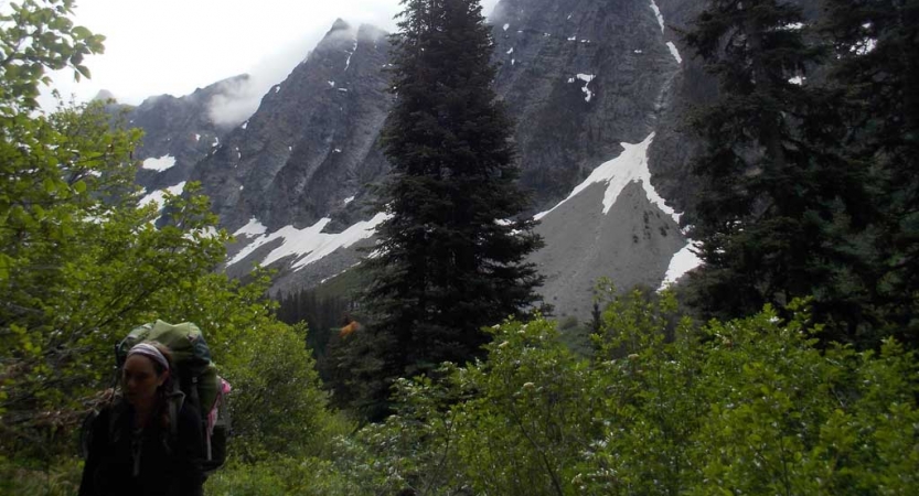 a person with a backpack walks through greenery with snowy mountains in the background